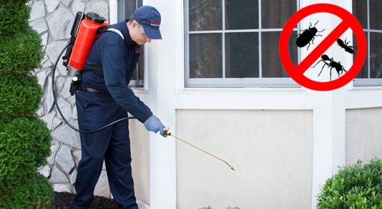 Simav Akrep İlaçlama böcek ilaçlama ve haşere kontrolü — ilaclama-tr.com
